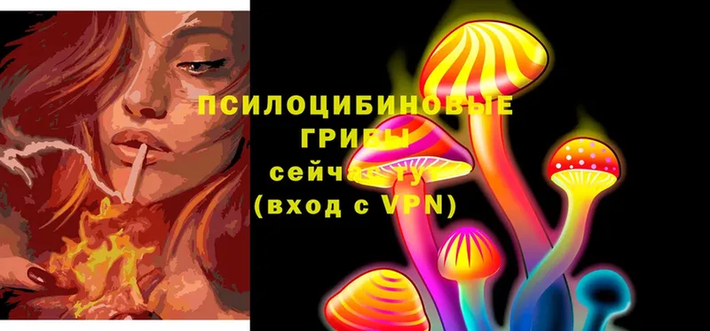 Псилоцибиновые грибы Psilocybe  наркотики  Таганрог 